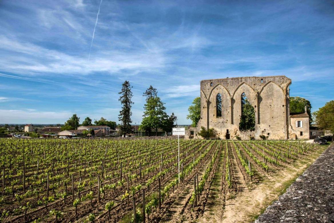 Maison Cosy Avec Vue Sur Les Vignes. 리부른 외부 사진