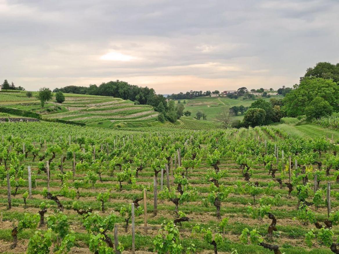 Maison Cosy Avec Vue Sur Les Vignes. 리부른 외부 사진