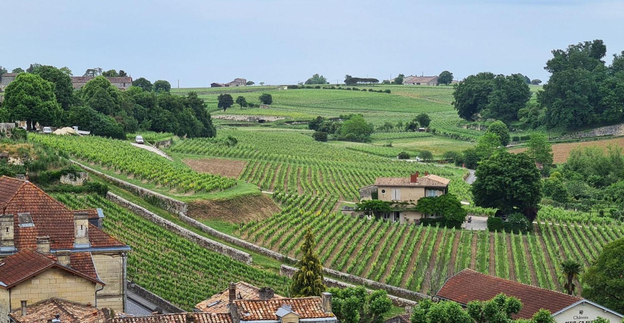 Maison Cosy Avec Vue Sur Les Vignes. 리부른 외부 사진